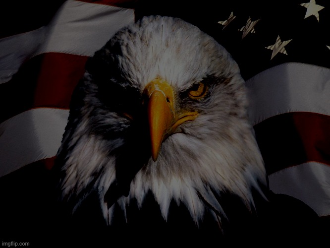 Freedom Eagle | image tagged in freedom eagle | made w/ Imgflip meme maker
