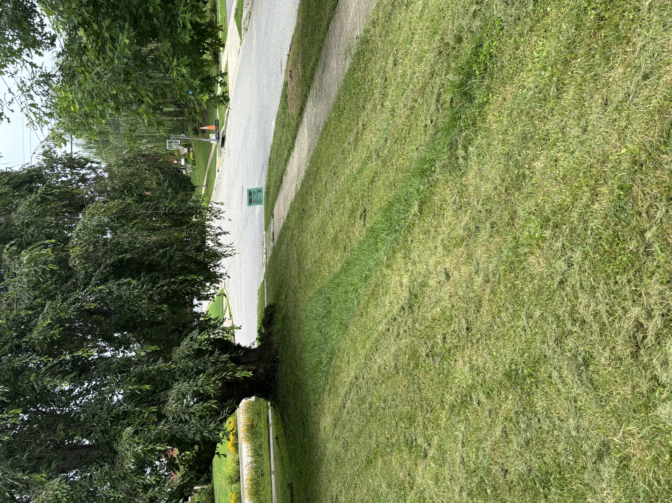 Electric mower Blank Meme Template
