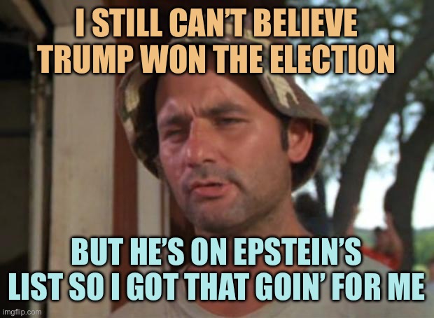 Which Is Nice | I STILL CAN’T BELIEVE TRUMP WON THE ELECTION; BUT HE’S ON EPSTEIN’S LIST SO I GOT THAT GOIN’ FOR ME | image tagged in memes,so i got that goin for me which is nice | made w/ Imgflip meme maker