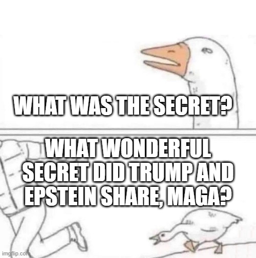Wonderful Secrets | WHAT WAS THE SECRET? WHAT WONDERFUL SECRET DID TRUMP AND EPSTEIN SHARE, MAGA? | image tagged in goose chase | made w/ Imgflip meme maker