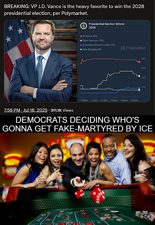 My cards are on Newslum. He seems generally ready | image tagged in american politics,polls,presidential race,democrats,funny | made w/ Imgflip meme maker