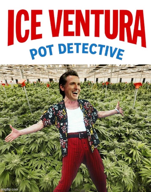 ICE Ventura: Pot Detective | image tagged in gavin newsom,gavin knewsome,gone to pot,ventura county,gavin a laugh,minor details | made w/ Imgflip meme maker