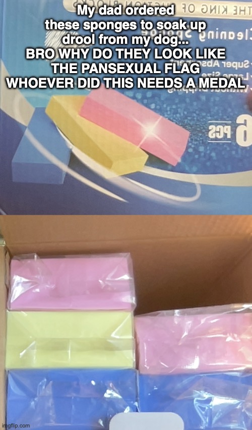 My dad ordered these sponges to soak up drool from my dog... BRO WHY DO THEY LOOK LIKE THE PANSEXUAL FLAG WHOEVER DID THIS NEEDS A MEDAL | made w/ Imgflip meme maker
