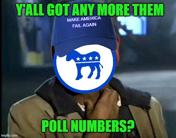 19% Approve of the Job the Democrats are Doing in Congress | Y'ALL GOT ANY MORE THEM; POLL NUMBERS? | image tagged in memes,y'all got any more of that | made w/ Imgflip meme maker