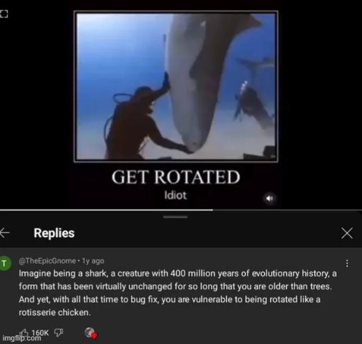 Get rotated. Idiot. | image tagged in memez | made w/ Imgflip meme maker
