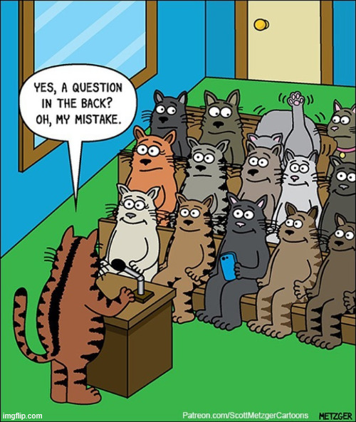 Raise your paw | image tagged in repost,raise your paw | made w/ Imgflip meme maker