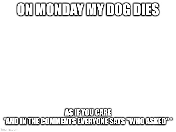 ON MONDAY MY DOG DIES; AS IF YOU CARE
*AND IN THE COMMENTS EVERYONE SAYS "WHO ASKED" * | made w/ Imgflip meme maker