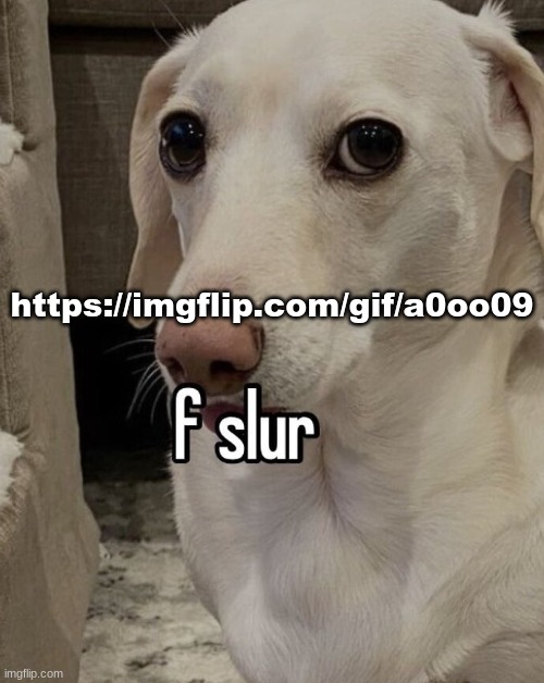 how is my main fucking account still at 3k bro | https://imgflip.com/gif/a0oo09 | image tagged in f slur | made w/ Imgflip meme maker