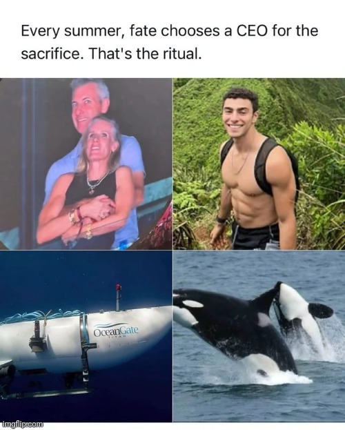 image tagged in memes,msmg,shitpost | made w/ Imgflip meme maker