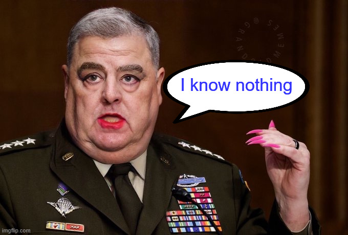 Mark Milley | I know nothing | image tagged in mark milley | made w/ Imgflip meme maker