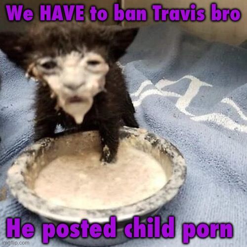Pie :3 | We HAVE to ban Travis bro; He posted child porn | image tagged in pie 3 | made w/ Imgflip meme maker