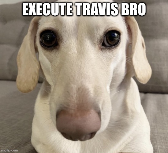 I know what you are | EXECUTE TRAVIS BRO | image tagged in i know what you are | made w/ Imgflip meme maker