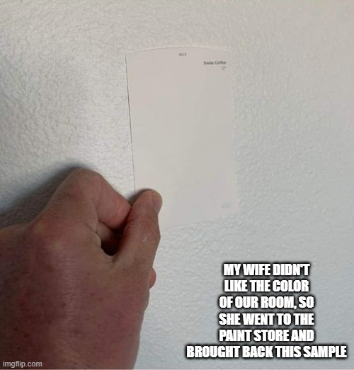 My wife didn't like the color of our room so she brought home this color sample. | MY WIFE DIDN'T LIKE THE COLOR OF OUR ROOM, SO SHE WENT TO THE PAINT STORE AND BROUGHT BACK THIS SAMPLE | image tagged in funnty,color,imgflip humor,sample,wife,play on words | made w/ Imgflip meme maker