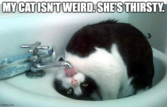 My cat is not weird, she's just thirsty.  - funny - | MY CAT ISN'T WEIRD. SHE'S THIRSTY. | image tagged in funny,cats,humor,kittens,thirsty,weird | made w/ Imgflip meme maker