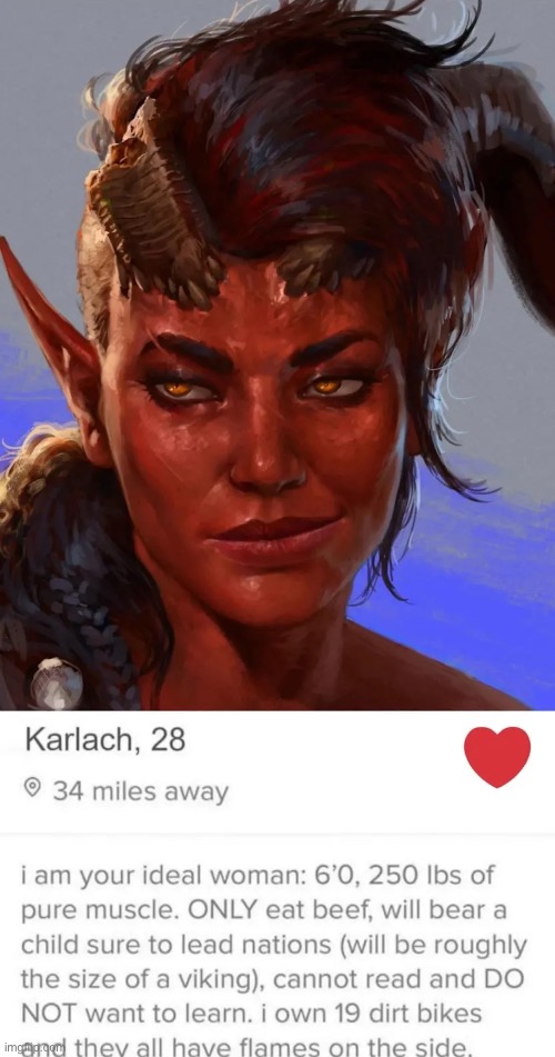 image tagged in memes,shitpost,baldurs gate,tinder,hear me out | made w/ Imgflip meme maker