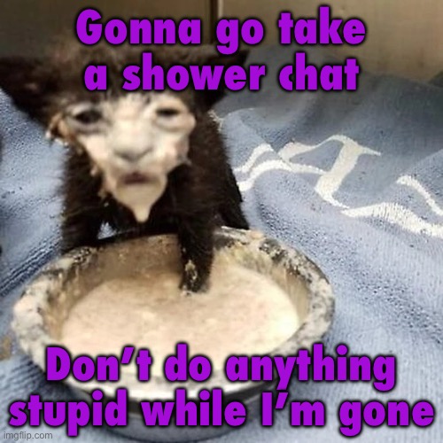 Pie :3 | Gonna go take a shower chat; Don’t do anything stupid while I’m gone | image tagged in pie 3 | made w/ Imgflip meme maker