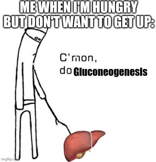 cmon do something | ME WHEN I'M HUNGRY BUT DON'T WANT TO GET UP:; Gluconeogenesis | image tagged in cmon do something | made w/ Imgflip meme maker