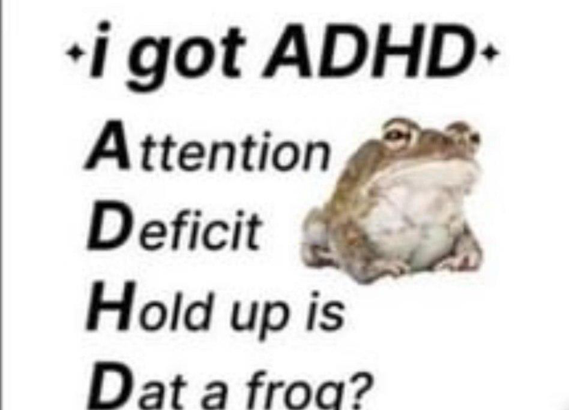 i got adh is that a frog? Blank Meme Template