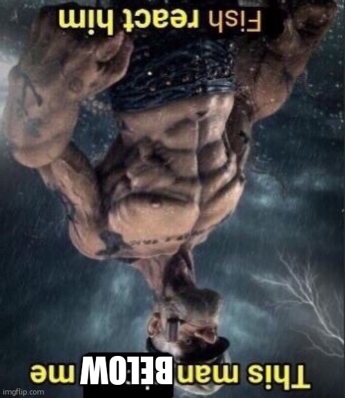 this man above me fish react him | BELOW | image tagged in this man above me fish react him | made w/ Imgflip meme maker