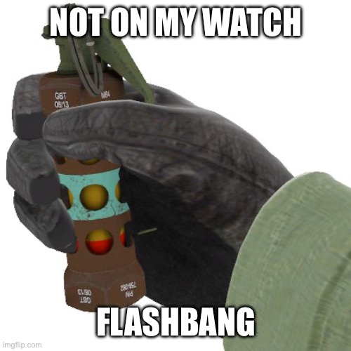 Flashbang | NOT ON MY WATCH FLASHBANG | image tagged in flashbang | made w/ Imgflip meme maker