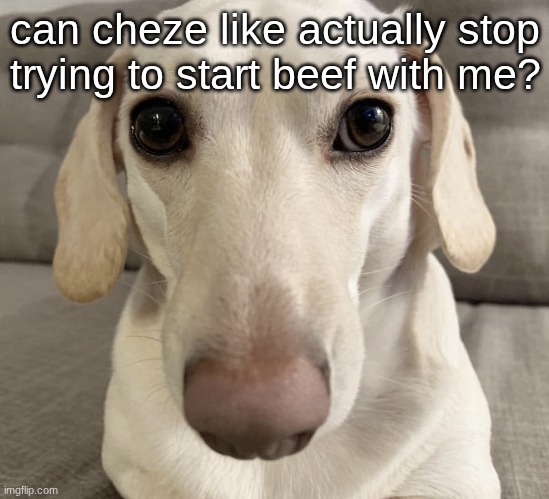 I know what you are | can cheze like actually stop trying to start beef with me? | image tagged in i know what you are | made w/ Imgflip meme maker