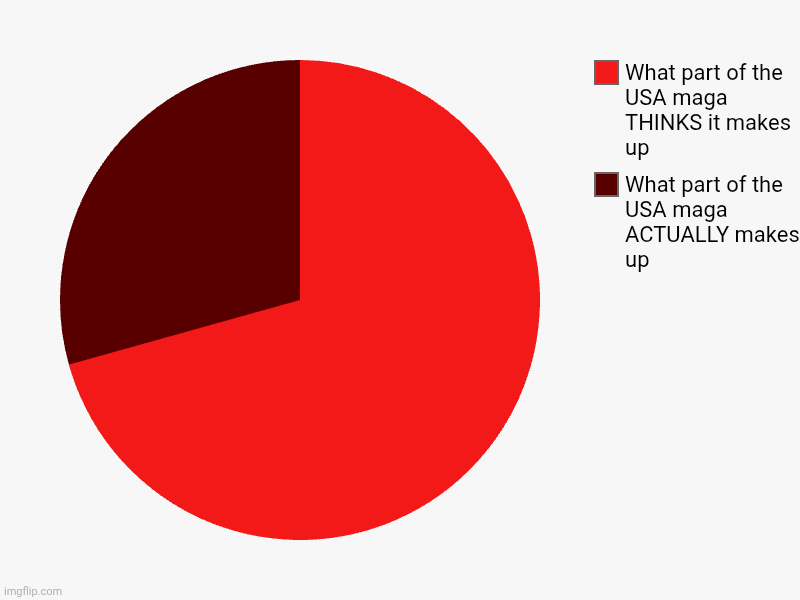 TDS in a Graph | What part of the USA maga ACTUALLY makes up, What part of the USA maga THINKS it makes up | image tagged in charts,pie charts,maga must go,maga are rinos,fdjt | made w/ Imgflip chart maker
