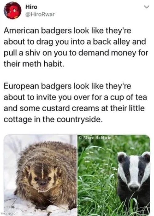 r/shitposting | image tagged in msmg,shitpost | made w/ Imgflip meme maker