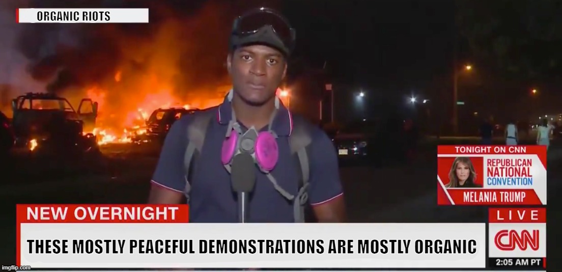 Fiery but mostly peaceful | ORGANIC RIOTS THESE MOSTLY PEACEFUL DEMONSTRATIONS ARE MOSTLY ORGANIC | image tagged in fiery but mostly peaceful | made w/ Imgflip meme maker