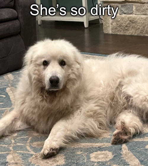 Yet so cute | She’s so dirty | made w/ Imgflip meme maker