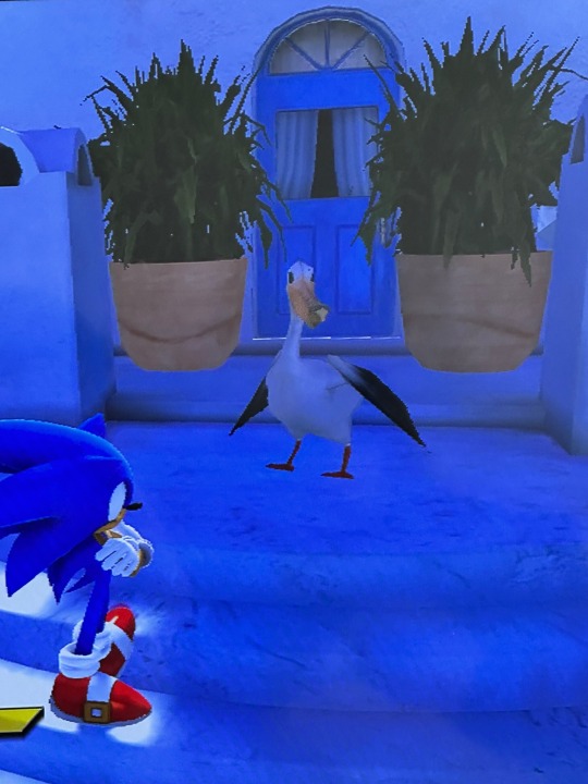 sonic with low poly pelican Blank Meme Template