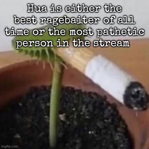 plant weeds | Hua is either the best ragebaiter of all time or the most pathetic person in the stream | image tagged in plant weeds,msmg | made w/ Imgflip meme maker