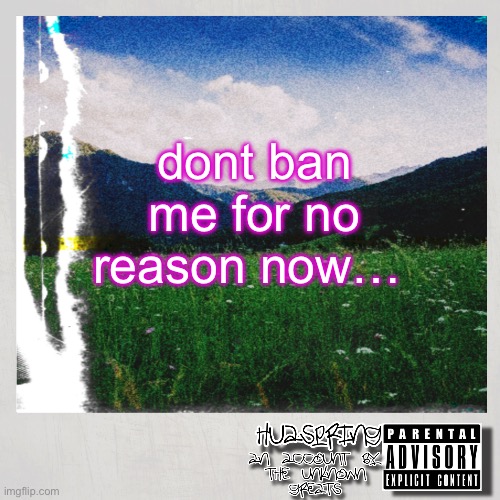 HuaSpring Temp | dont ban me for no reason now… | image tagged in huaspring temp | made w/ Imgflip meme maker