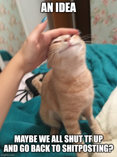 Ya'll sound like 8th grade girls in the bathroom | AN IDEA; MAYBE WE ALL SHUT TF UP AND GO BACK TO SHITPOSTING? | image tagged in cat pat | made w/ Imgflip meme maker