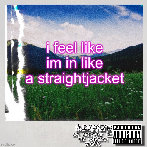HuaSpring Temp | i feel like im in like a straightjacket | image tagged in huaspring temp | made w/ Imgflip meme maker