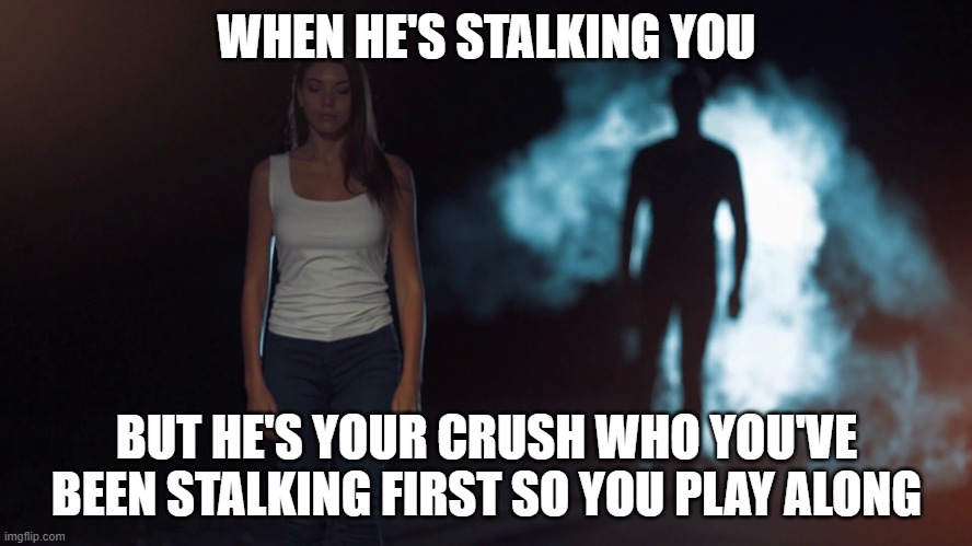 Stalking the stalker | WHEN HE'S STALKING YOU; BUT HE'S YOUR CRUSH WHO YOU'VE BEEN STALKING FIRST SO YOU PLAY ALONG | image tagged in stalker stalker | made w/ Imgflip meme maker