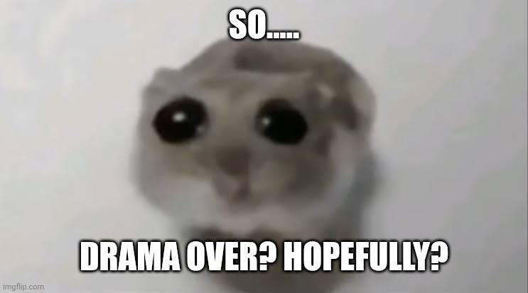 I'm still bouta cry here | SO..... DRAMA OVER? HOPEFULLY? | image tagged in sad hamster | made w/ Imgflip meme maker