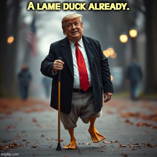 By 2028, Trump won't know his own name. | A lame duck already. | image tagged in donald trump is a lame duck,trump,lame duck,loser,election 2028 | made w/ Imgflip meme maker