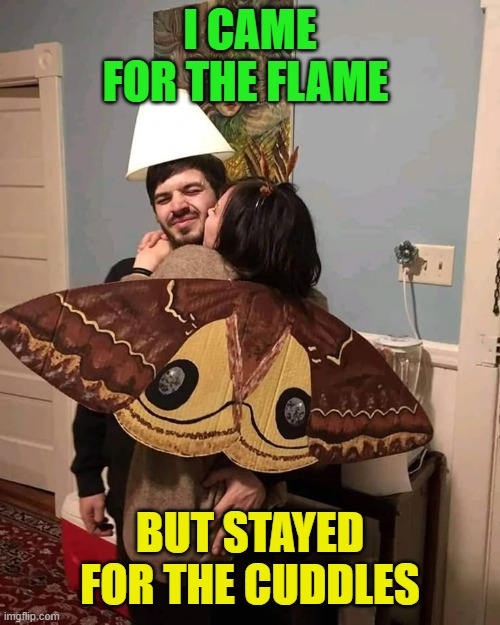 flame | I CAME FOR THE FLAME; BUT STAYED FOR THE CUDDLES | image tagged in memes | made w/ Imgflip meme maker