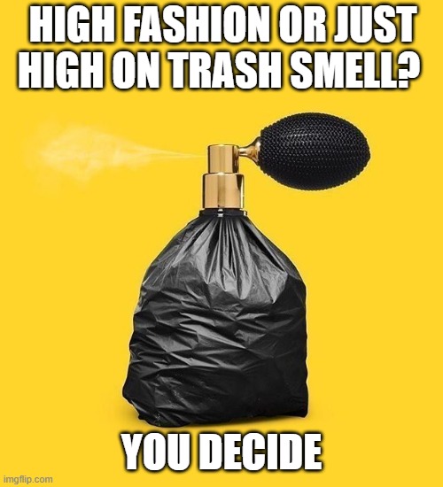 fashion | HIGH FASHION OR JUST HIGH ON TRASH SMELL? YOU DECIDE | image tagged in memes | made w/ Imgflip meme maker