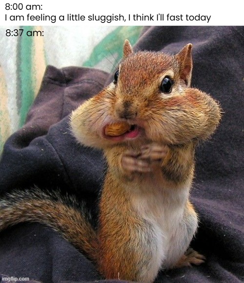 Well...I tried my best. | 8:00 am:
I am feeling a little sluggish, I think I'll fast today; 8:37 am: | image tagged in funny memes,fasting | made w/ Imgflip meme maker