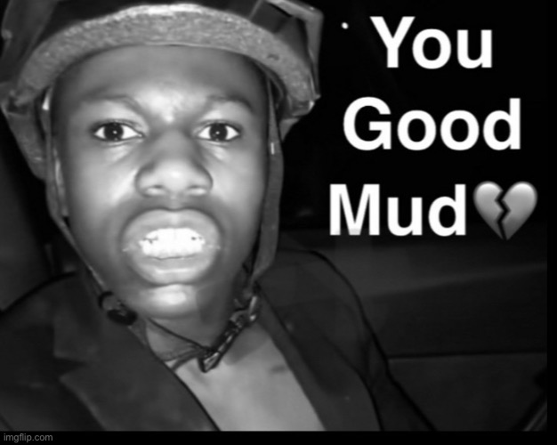 you good mud? | image tagged in you good mud | made w/ Imgflip meme maker