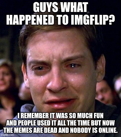 what happend guys? I only took a 2 year break to focus on my actual life but now that I come back everything is not the same | GUYS WHAT HAPPENED TO IMGFLIP? I REMEMBER IT WAS SO MUCH FUN AND PEOPLE USED IT ALL THE TIME BUT NOW THE MEMES ARE DEAD AND NOBODY IS ONLINE. | image tagged in crying peter parker | made w/ Imgflip meme maker