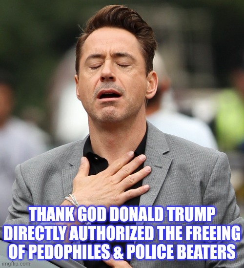 THANK GOD DONALD TRUMP DIRECTLY AUTHORIZED THE FREEING OF PEDOPHILES & POLICE BEATERS | image tagged in relieved rdj | made w/ Imgflip meme maker