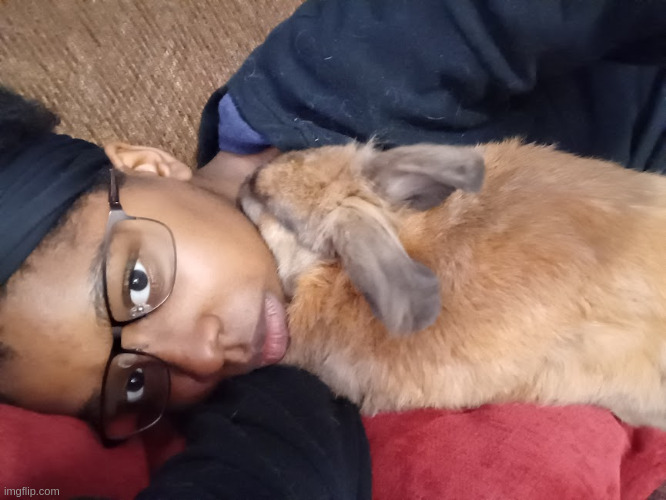 bnuuy cuddles | made w/ Imgflip meme maker