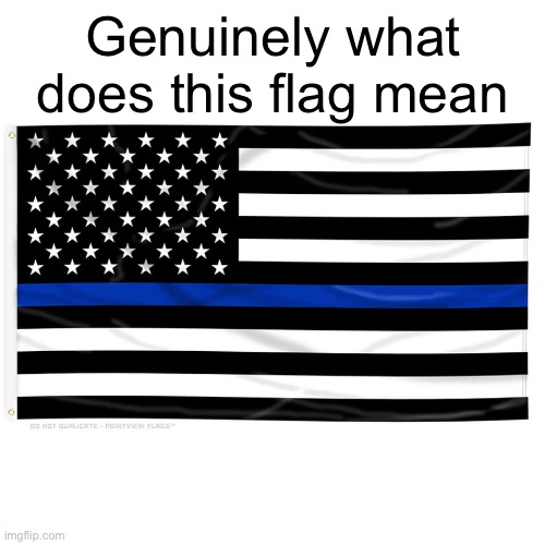 Genuinely what does this flag mean | image tagged in msmg | made w/ Imgflip meme maker