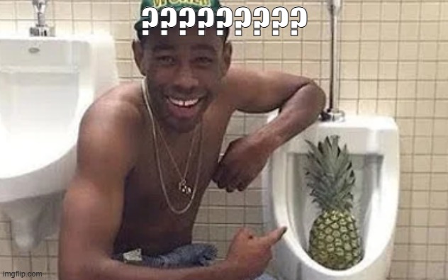 post of extreme confusement and questioning | ????????? | image tagged in tyler pineapple | made w/ Imgflip meme maker