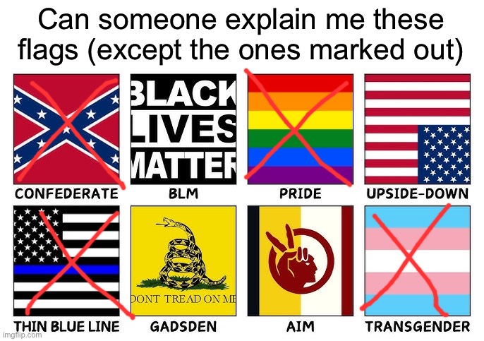 (The marked out ones are the ones I already know what they mean) | Can someone explain me these flags (except the ones marked out) | image tagged in msmg | made w/ Imgflip meme maker