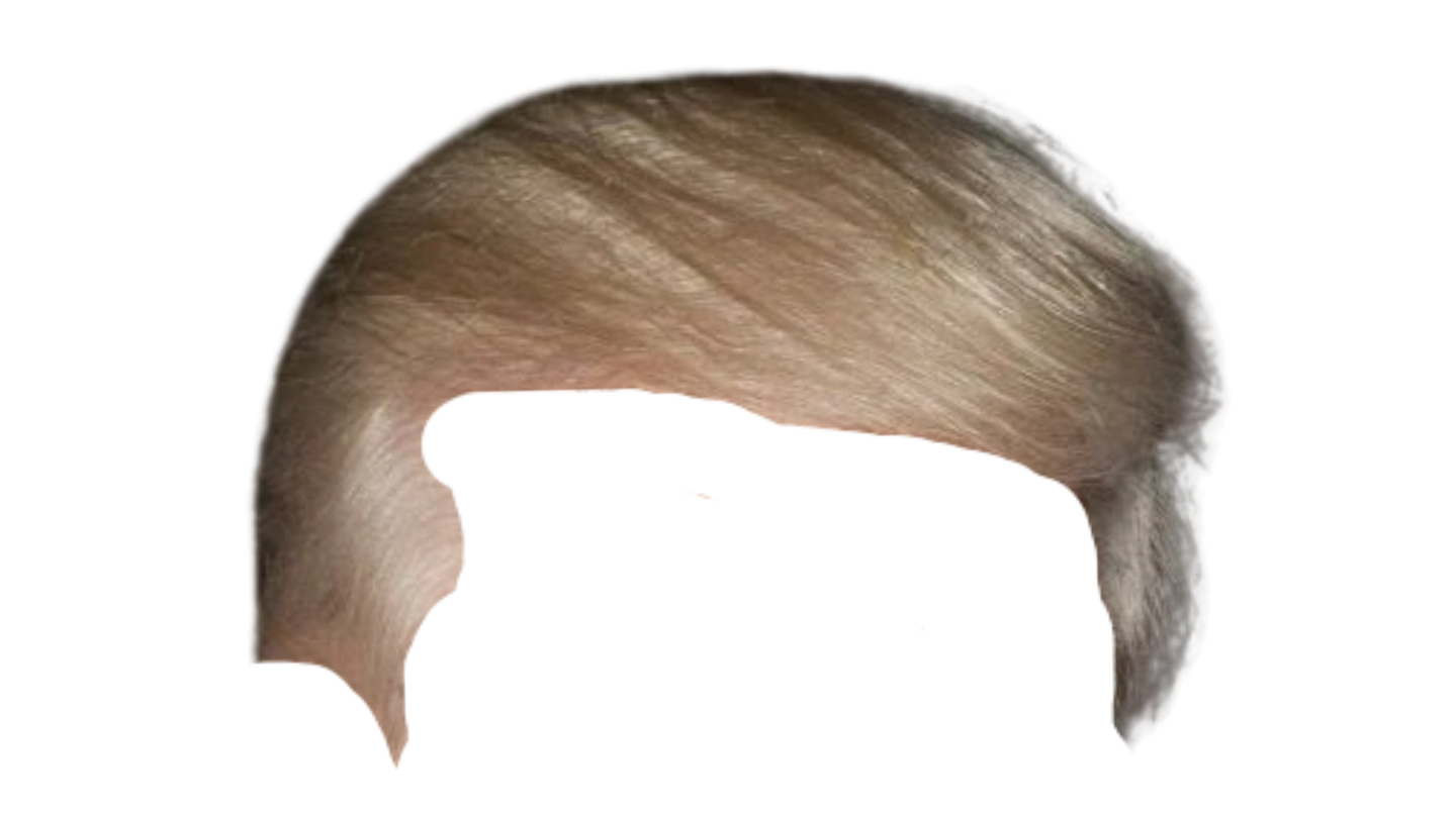 Trump Hair Blank Meme Template