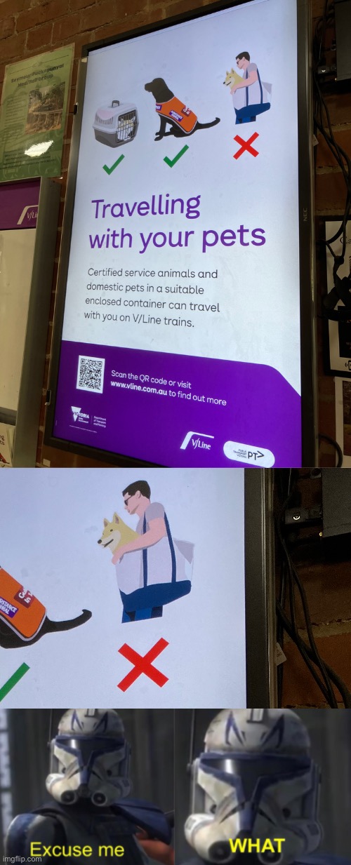 who tf carries their pet like this?! | image tagged in i hate tagging,excuse me what | made w/ Imgflip meme maker