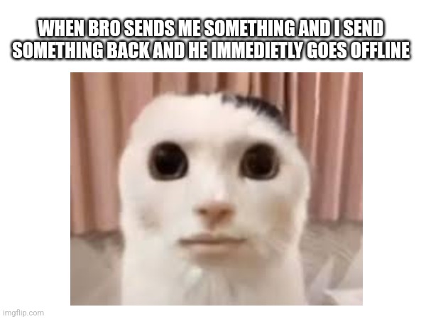 . | WHEN BRO SENDS ME SOMETHING AND I SEND SOMETHING BACK AND HE IMMEDIETLY GOES OFFLINE | image tagged in fun,funny | made w/ Imgflip meme maker